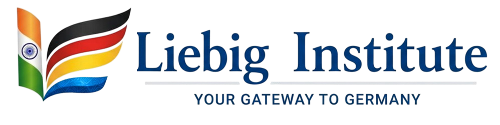 Findox HTML Template